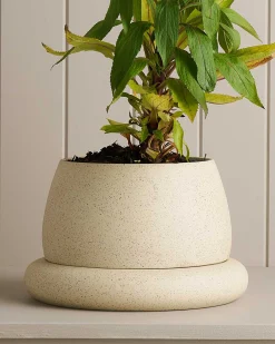 Robert Gordon Planters & Watering Cans-Large Cloud Planter / White Speckle