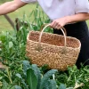 Robert Gordon Baskets-Small Harvest Basket / Goldie