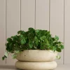 Robert Gordon Planters & Watering Cans-Wide Cloud Planter / White Speckle